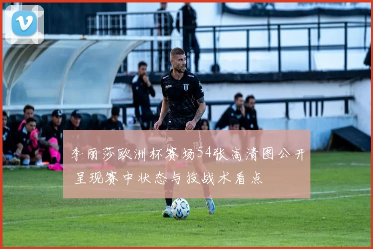 李丽莎欧洲杯赛场54张高清图公开 呈现赛中状态与技战术看点