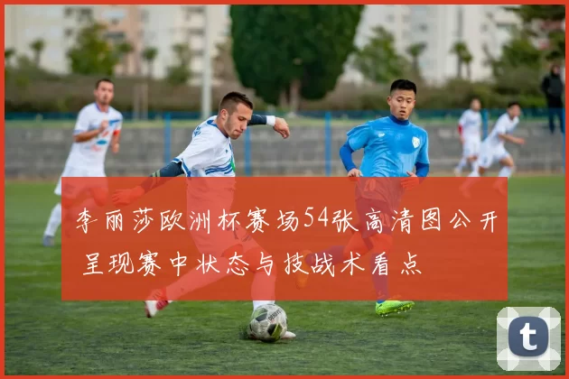 李丽莎欧洲杯赛场54张高清图公开 呈现赛中状态与技战术看点