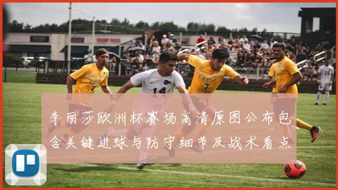 李丽莎欧洲杯赛场高清原图公布包含关键进球与防守细节及战术看点