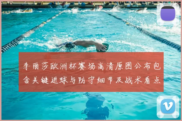 李丽莎欧洲杯赛场高清原图公布包含关键进球与防守细节及战术看点